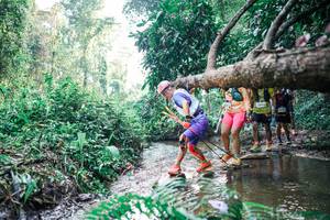 BIB: 
                            <button type="button" onclick="openModal(25456931)" class="btn btn-primary btn-sm float-right btn-popup" data-toggle="modal" data-target=".modal-high-quality">
                        <i class="fas fa-shopping-cart"></i> Add to Cart
                    </button>
                                            <button type="button" onclick="isThisMe(25456931, true)" class="btn btn-success btn-sm float-right btn-popup btn-isme hidden" data-toggle="tooltip" data-placement="bottom" title="นี่คือรูปของคุณใช่ไหม คลิกที่นี่เพื่อเอาเข้าอัลบั้ม">
                        <i class="fas fa-plus"></i> Add to album
                    </button>
                    <button type="button" onclick="isThisMe(25456931, false)" class="btn btn-warning btn-sm float-right btn-popup btn-isnotme hidden">
                        <i class="fas fa-ban"></i> Remove from album
                    </button>